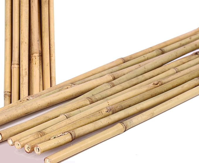 Tonkin Bambusrohr 200cm natur Durch. 3,5 bis 4cm Bambusrohr