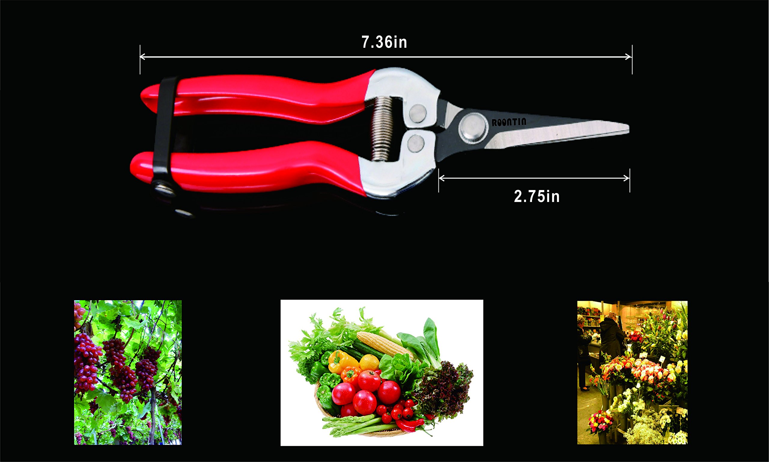 Roontin Pruning Shears, SK-5 Steel Blades Bypass Pruner with Non-Slip Ergonomics Handles and Safety Lock for Tree Trimmers Secateurs, Hand Pruners,Gardening Scissors and More (Pruning Scissors)