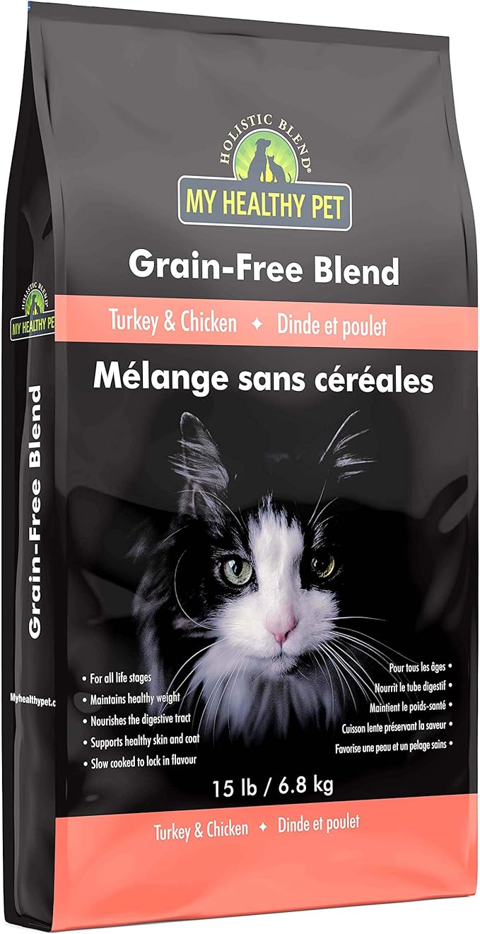 mini aussie and blue heeler mix