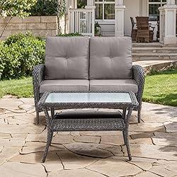 HUMMUH Outdoor Loveseat Sofa 2-Seat PE Wicker