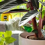 Miracle-Gro 1L Pour and Feed Liquid Plant Food for Healthy Growth view 5