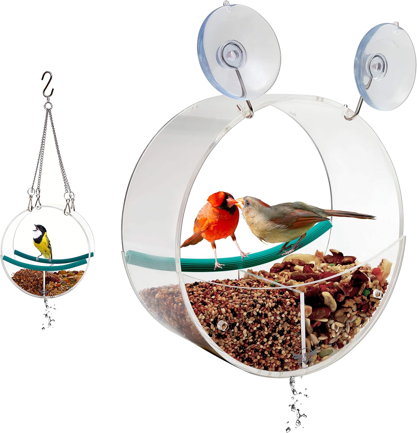 Unusual Bird Lover Gift Idea Birdious Hanging Window Bird Feeder With Suction Cups And Chains Outdoors Birdfeeder For Watching Cardinals Blue Jays And Wild Birds Finches Patio Lawn Garden Birds Urbytus Com