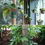nuoshen 2 Rolls Green Hemp Garden Twine 200m 656ft Natural Jute String view 2