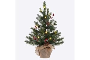 MEETYAMOR 2 FT Mini Christmas Tree, 24" PE Prelit Small Artificial Tabletop Snow Flocked Christmas Trees Decor with 20 Lights Timer, Outdoor Indoor Porch Table Centerpieces Xmas Christmas Decorations