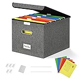 Forlogic File Organizer Box with Lid, Collapsible