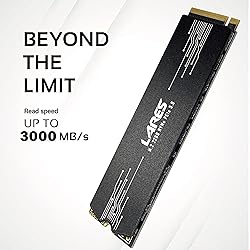 LEVEN JPS600 4TB PCIe Without Dram Read Speed Up to