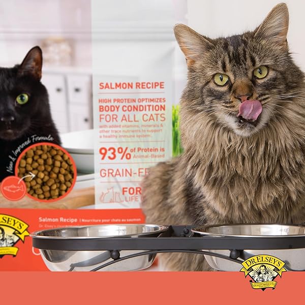 DR. ELSEY’S CLEANPROTEIN SALMON FORMULA DRY CAT FOOD, 6.6 LB