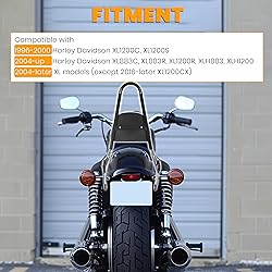 ECOTRIC Detachable Sissy Bar with Backrest