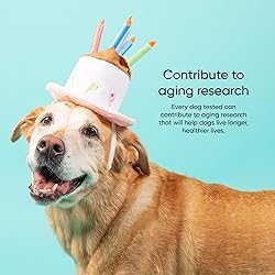 Embark Dog Age Test Kit - Estimates Age and