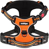 rabbitgoo Dog Harness Medium No-Pull Front Back Clips Reflective Orange M