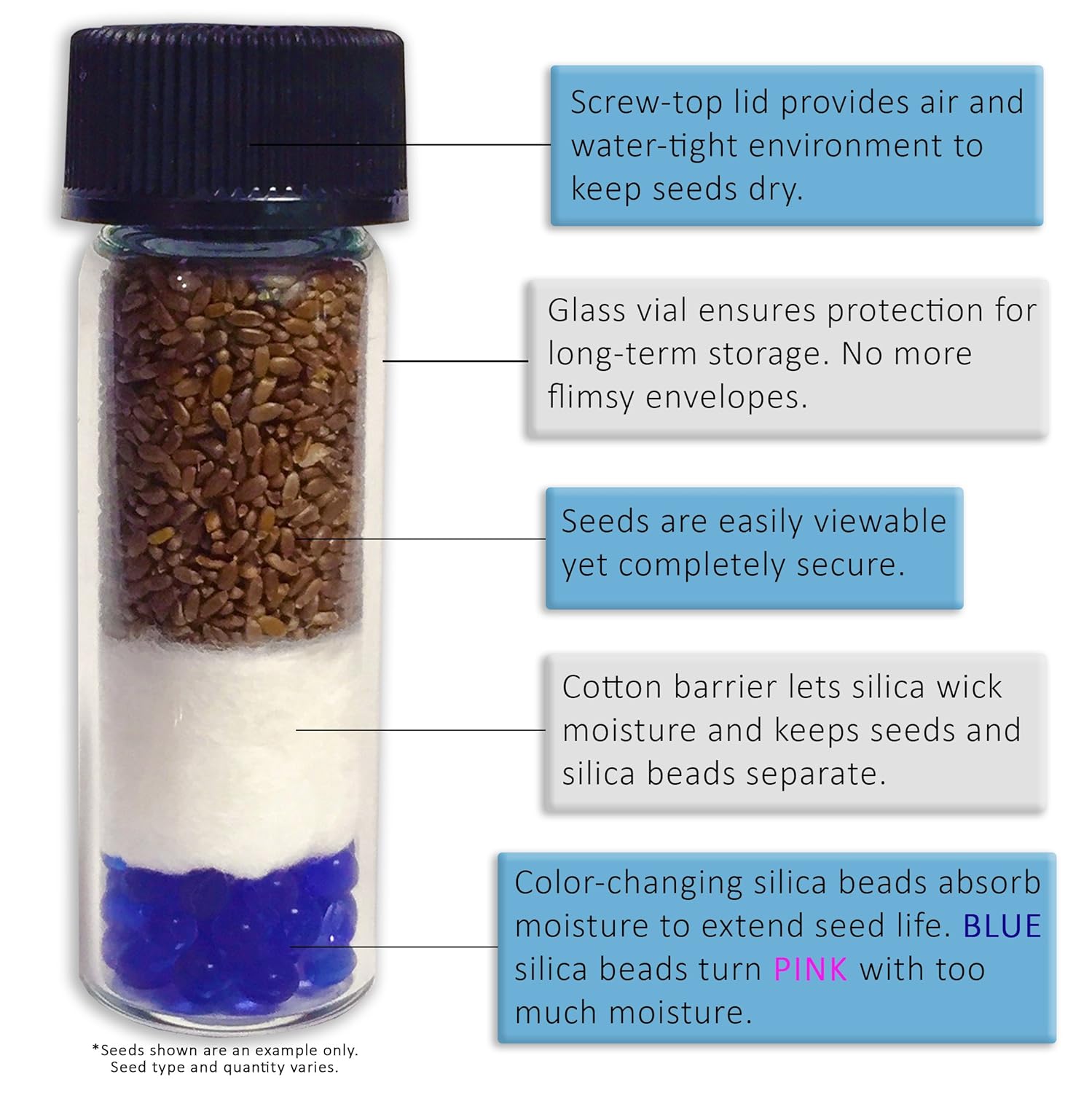 Plant Seeds Now or Save Seeds for Years 10+ Medicinal Herb Seeds in