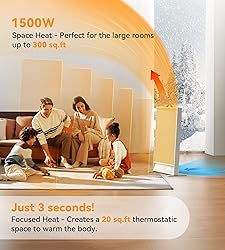 Space Heater with Thermostat, Radiant Convection