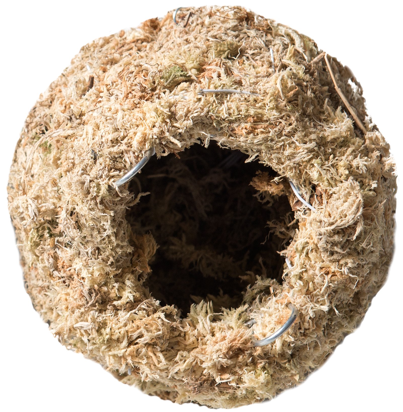 Galápagos (05349 Mossy Cave Hide, 6", Blond Sphagnum