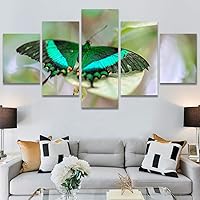 SIGNWIN 5 Panel Canvas Wall Art Modern Art Bee Butterfly Colorful Contemporary Insects Multicolor Photography for Home Decorations Ready to Hang - 60