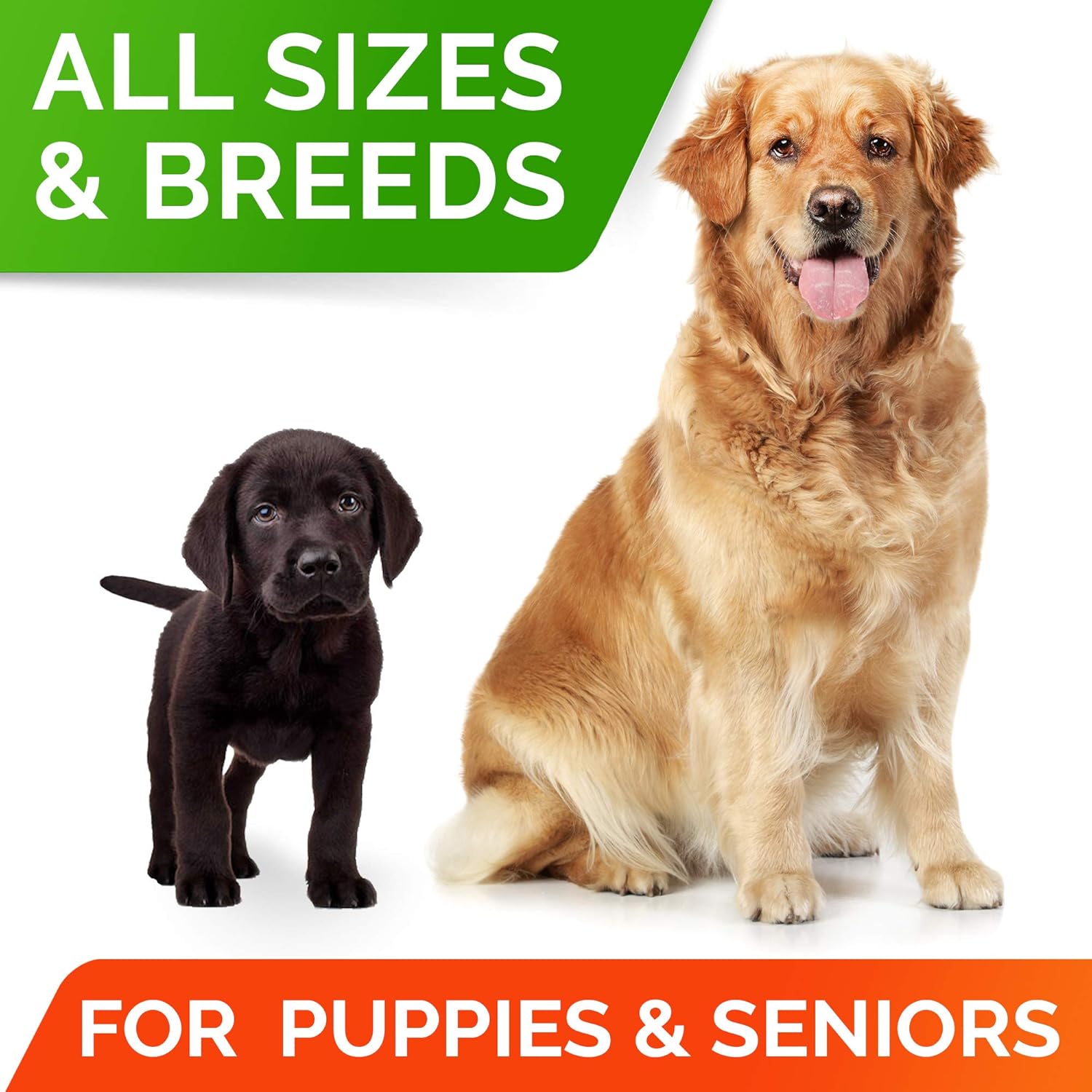 Dog Probiotics Treats for Picky Eaters - Digestive Enzymes + Prebiotics - Chewable Fiber Supplement - Allergy, Diarrhea, Gas, Constipation, Upset Stomach Relief - Improve Digestion, Immunity : Pet Supplies
