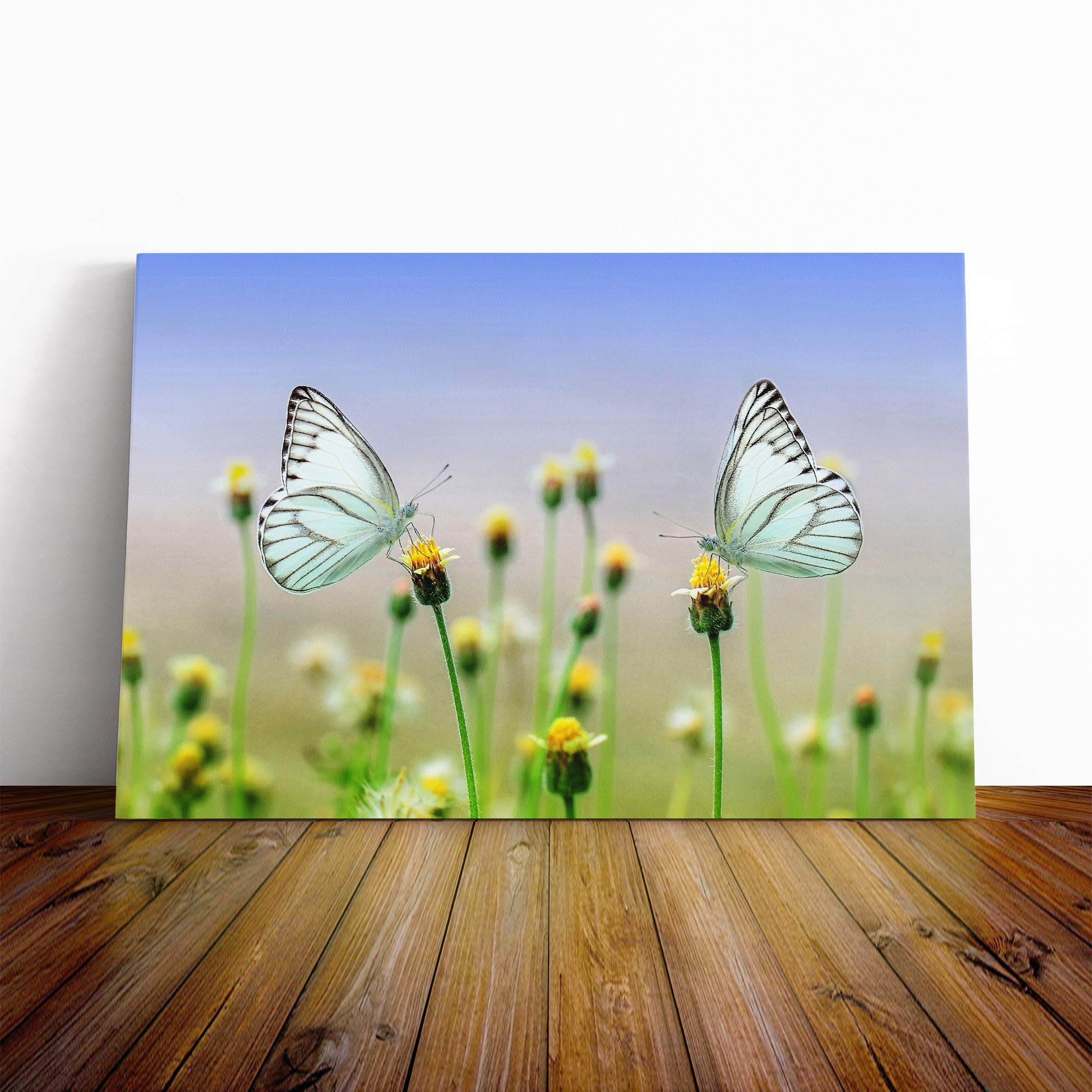 Two Butterflies on Yellow Flowers Canvas Print | Gallery Wrapped 30mm Frame Wall Art | 20x14 inches | Ready to Hang | Modern Floral Picture | Living Room Bedroom Lounge Office