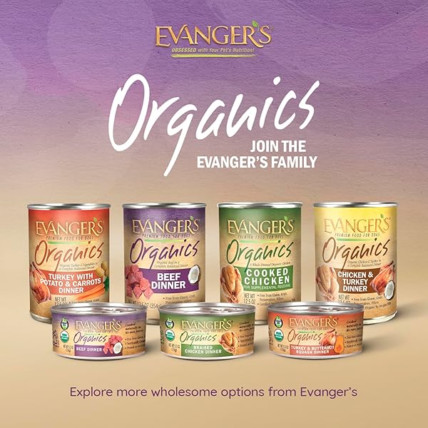 EVANGER’S ORGANICS BEEF DINNER FOR DOGS – 12 COUNT, 12.5 OZ EACH – QUALIFIED ORGANIC, GRAIN FREE, GMO FREE – NUTRIENT-DENSE RECIPE WITH ORGANIC VEGETABLES – WET DOG FOOD