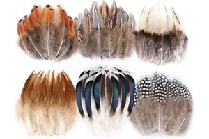 Larryhot Natural Pheasant Craft Feathers - 240 pcs 6 Style Mixed Feathers for Dream Catcher Supplies,Jewelry,Hats and Jewelry Accessories (Natural)