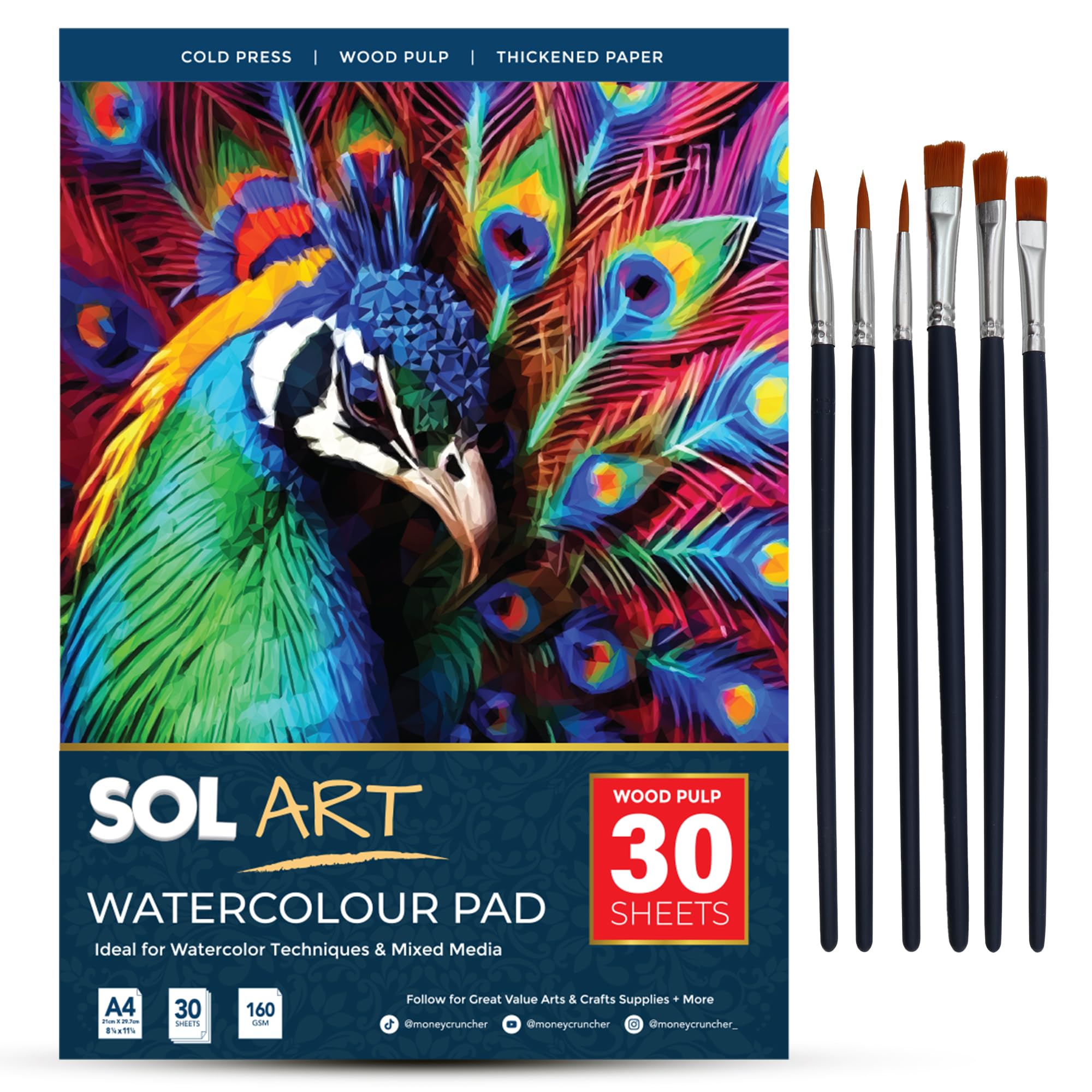 SOL 30 Sheets Watercolour Pad with 6pk Versatile Brushes - A4 Size Paper for Artists and Beginners, Durable Sketchbook for Painting and School Arts & Crafts Projects, Perfect for Kids and Adults DIY