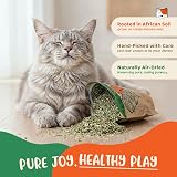 Sesemane's Just Catnip Organic Catnip Fine Blend South Africa Extra Strong view 2