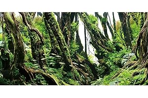 AWERT 48x18 inches Tree Branches Aquarium Background Green Algae Aquarium Background River Bed & Lake Fish Tank Background Vinyl Background