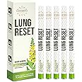 Lung Detox Mullein Diffuser Pen | Natural Mullein Leaf | Lung Health & Detox | Herbal Mullein Diffuser Pen 600 Uses - 5-Pack