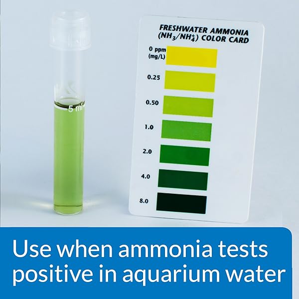 API AMMO-LOCK FRESHWATER AND SALTWATER AQUARIUM AMMONIA DETOXIFIER 16-OUNCE BOTTLE