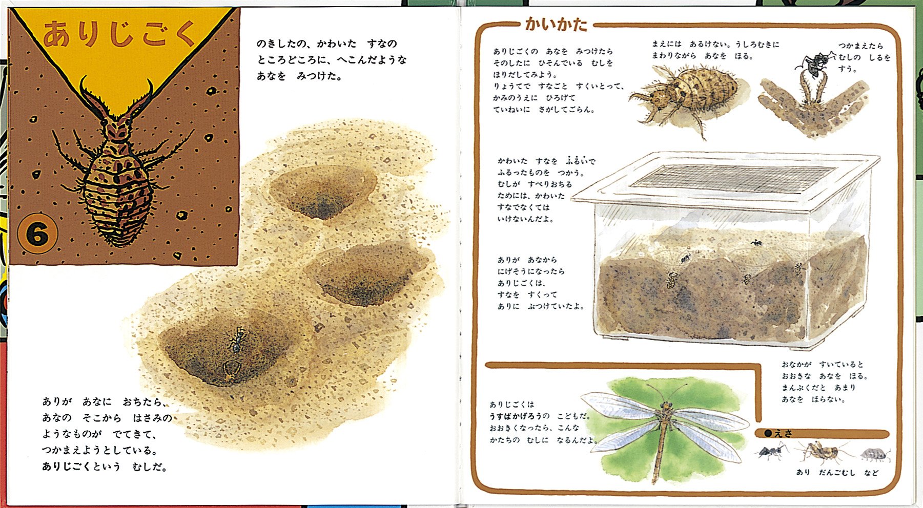 Amazon Com ぼくのわたしのこんちゅうえん かがくのとも傑作集 どきどき しぜん Toshiki Kobayashi Rotoi Tsuda Libros