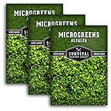 3 Packs Alfalfa Microgreens Seeds for Planting and