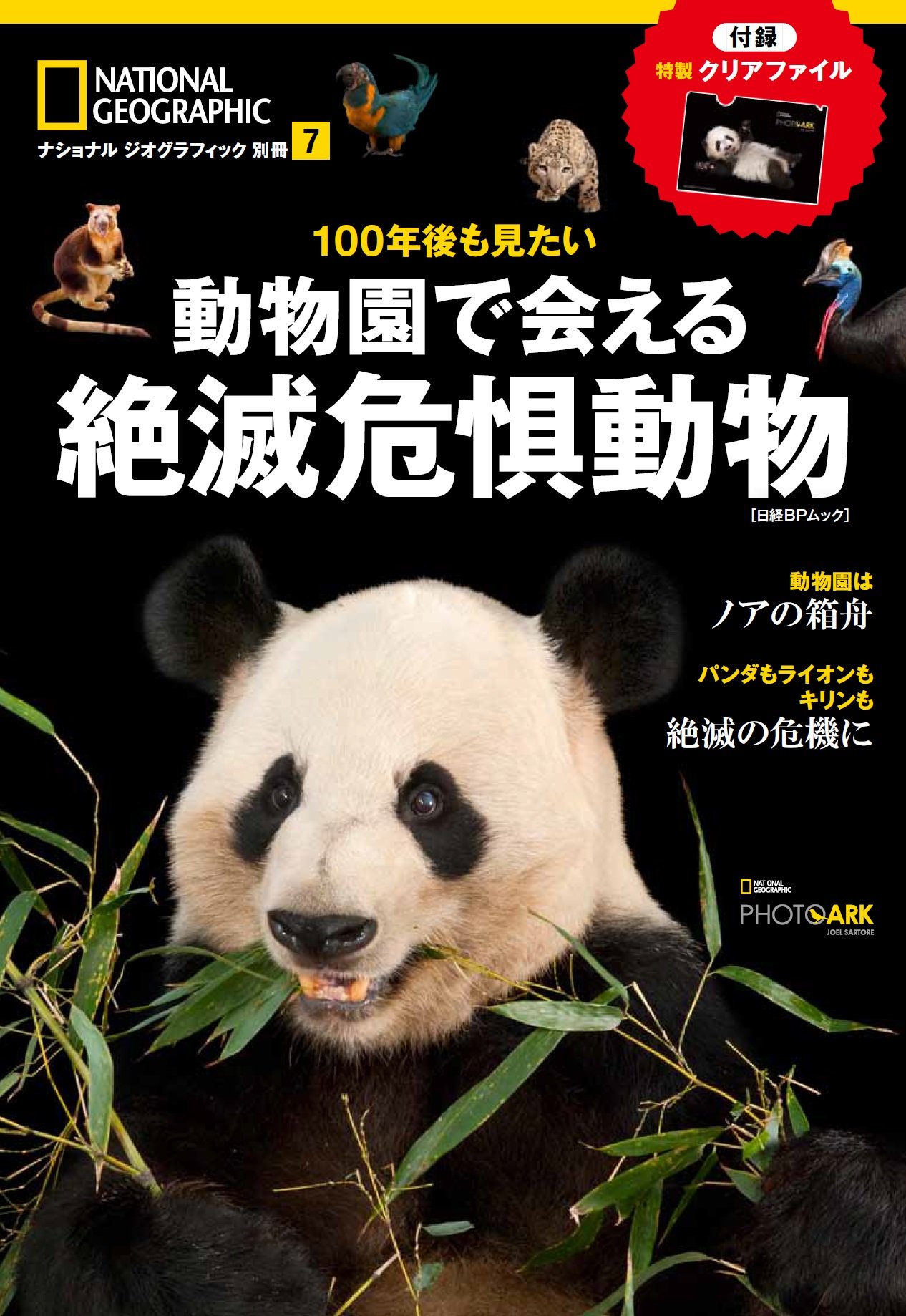 100年後も見たい 動物園で会える絶滅危惧動物 ナショナル ジオグラフィック 別冊 ナショナル ジオグラフィック ジョエル サートレイ 本 通販 Amazon
