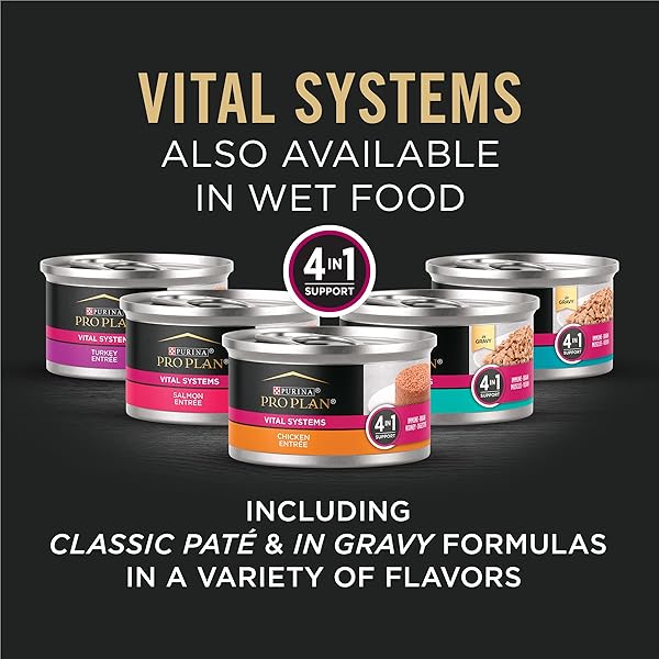PURINA PRO PLAN VITAL SYSTEMS CHICKEN AND EGG FORMULA 4-IN-1 ADULT DRY CAT FOOD – 3 LB. BAG