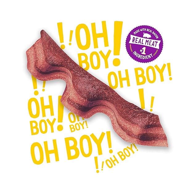 PURINA BEGGIN’ STRIPS WITH REAL MEAT DOG TREATS WITH BACON AND BEEF FLAVORS – 26 OZ. POUCH