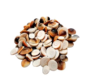 Ankita Gemstones Stone Gomti Chakra (Multi)