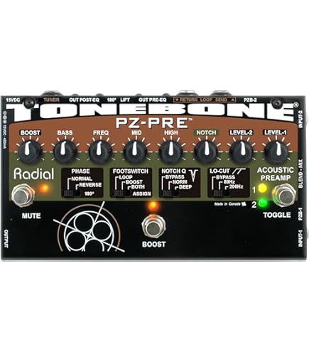 Amazon.com: Radial PZ-Pro 2-Channel Acoustic Preamp