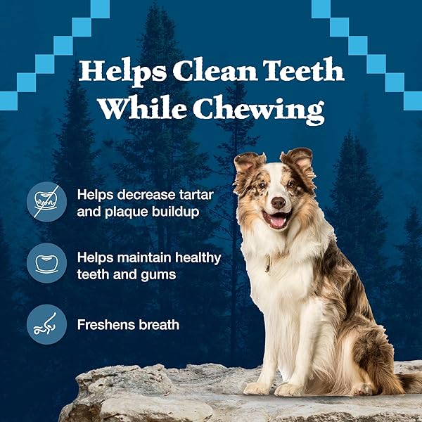 BLUE BUFFALO WILDERNESS WILD BONES GRAIN-FREE DENTAL CHEWS DOG TREATS, MINI, 10-OZ BAG