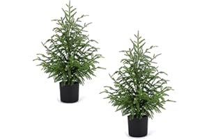 ENVEN 2 Pack 24" Artificial Norfolk Pine Potted Trees – Realistic Faux Christmas Greenery for Tabletop, Mantel, Entryway & Holiday or Year-Round Home Décor