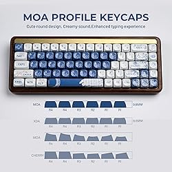 Hkfos XVX Ceramic Glaze Coating Keycaps, MOA Keycap
