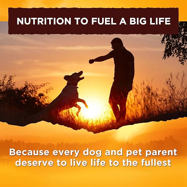 NATURE’S RECIPE SMALL BREED DRY DOG FOOD, CHICKEN, SWEET POTATO & PUMPKIN RECIPE, 4 POUNDS, GRAIN FREE
