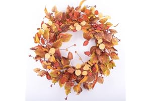 TOKCARE 22 inch Fall Wreaths for Front Door Autumn Wreath with Physalis Leaves,Small Pumpkin,Berry Branches,Mixed Leaves for Farmhouse Indoor Outdoor Window Wall Door Decor