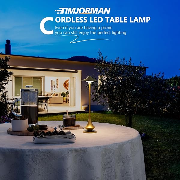 TIMJORMAN MODERN MINIMALIST CORDLESS TABLE LAMP,RECHARGEABLE,ALUMINUM ALLOY BODY FOR LIVING ROOM/BEDROOM/KITCHEN/OUTSIDE (GOLD COLOR 1 PACK)