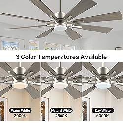 WINGBO 72" DC Ceiling Fan with Lights, Brushed