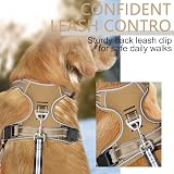 HEELE Dog Harness No Pull Small Bronze XS Reflective Easy Release Neck Clip view 5