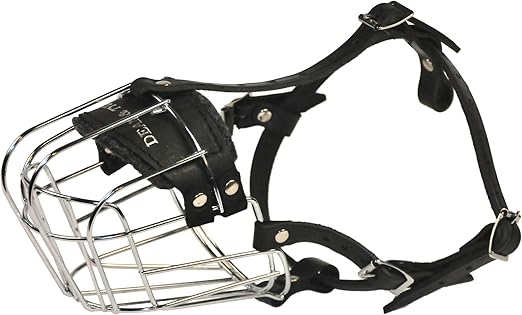 dean and tyler muzzle