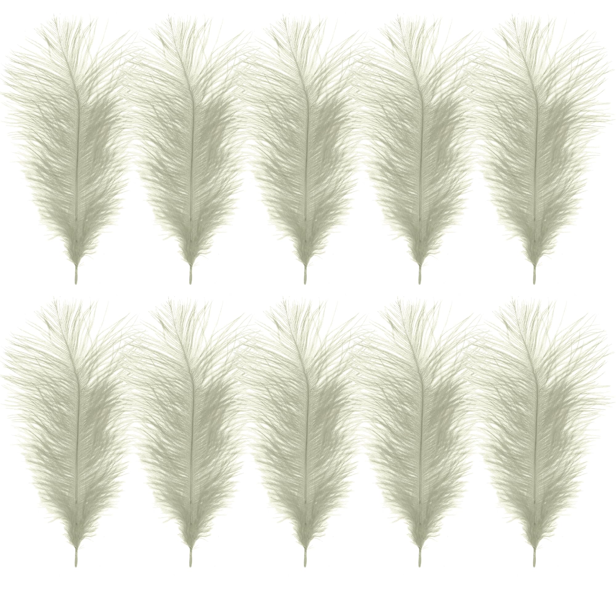 WedDecor Ivory Natural Ostrich Feathers 14-16" (35-40cm) Long for Wedding Centrepieces, Home, Costumes Decorating, Embellishment, Art & Craft, Parties, Pack of 10