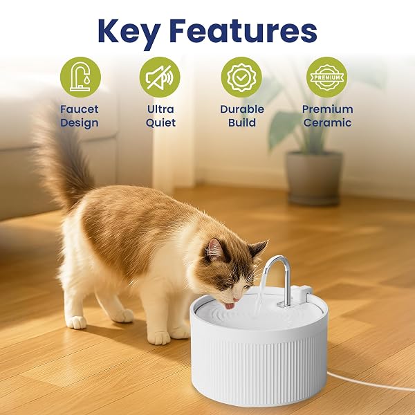 PAWSPIK CERAMIC SERENITY PET WATER FOUNTAIN – FAUCET-STYLE SPOUT, QUIET MOTOR, 5-LAYER FILTER – BPA-FREE CERAMIC BOWL FOR DOGS & CATS, 9-CUP, WHITE