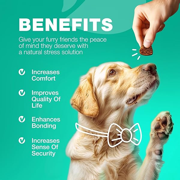 COPROPHAGIA DETERRENT – NO POO CHEWS FOR DOGS – DOG PROBIOTICS FOR DIGESTIVE HEALTH WITH ENZYMES – CANINE STOOL EATING DETERRENT – DIGESTIVE, DENTAL, GUT & IMMUNE HEALTH TREATS – NO POOP EATING