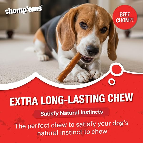 CHOMP’EMS NATURALLY DELICIOUS BULLY STICKS – LONG LASTING NO HIDE DOG CHEWS – NO ARTIFICIAL FLAVORS, COLORS, OR PRESERVATIVES – PROTEIN RICH ALTERNATIVE TO RAWHIDE, 8 OZ.