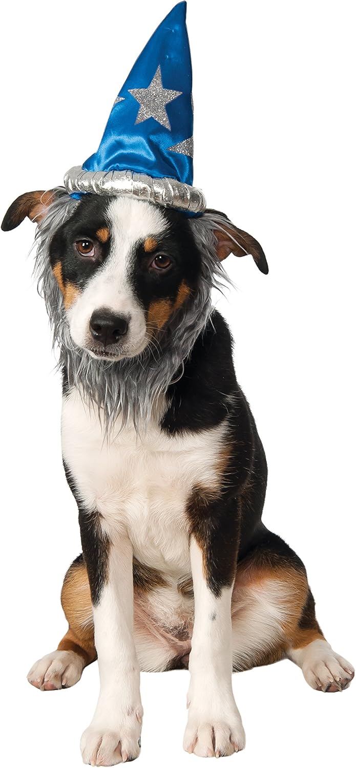 glass door with dog flap