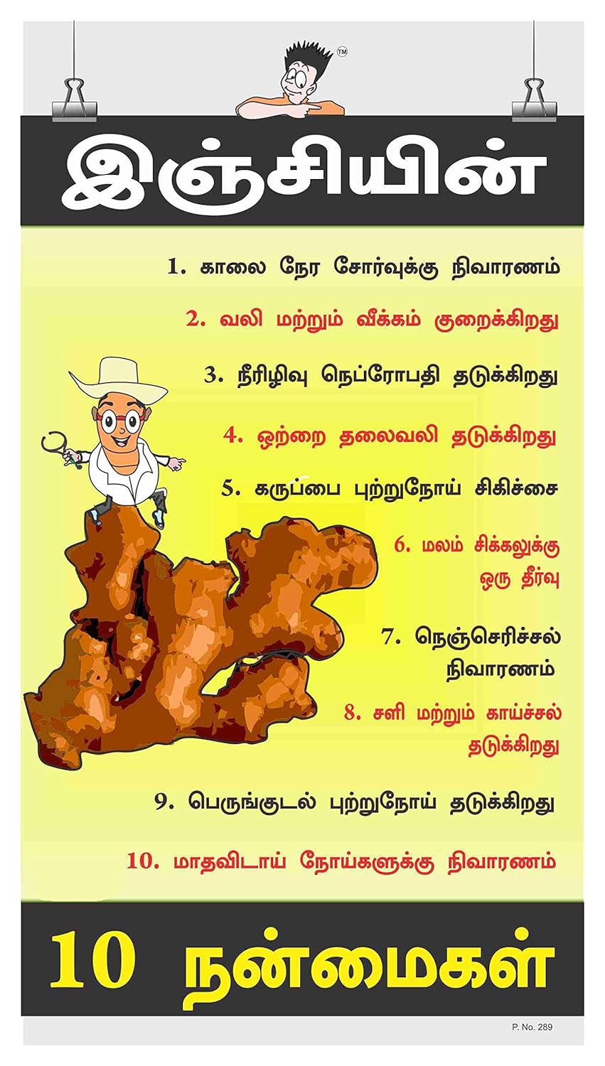 Posterkart Canteen PosterBenefits of GingerTamil, 66 cm x 36 cm x 1