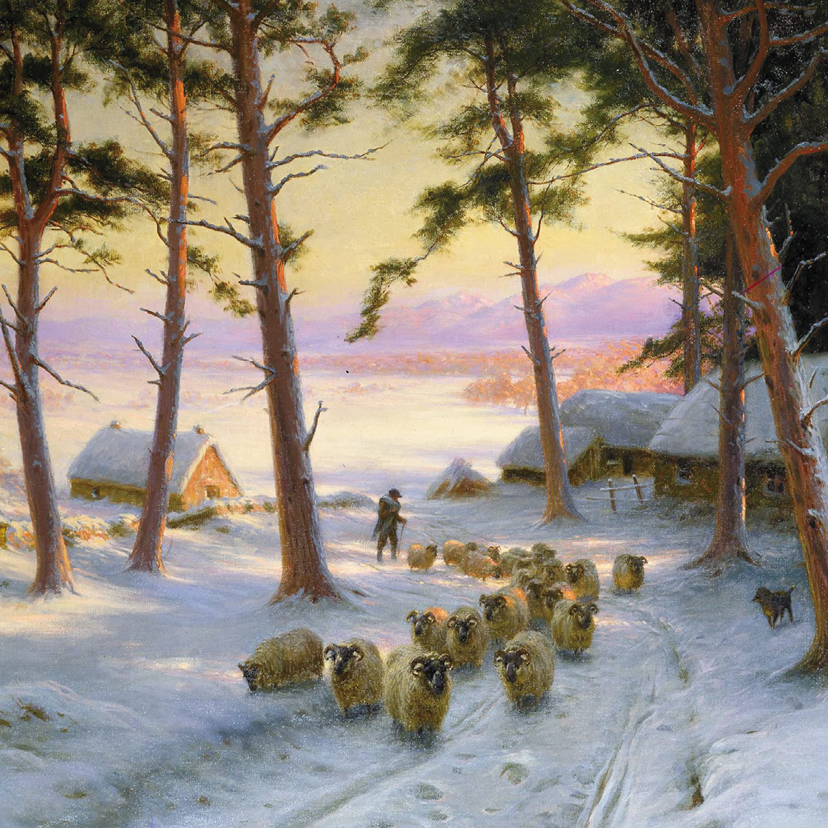 GBCC Charity Christmas Cards Pack of 6 - Sheep in Snowy Field - Festive Christmas Cards Multipack - In Aid of UK Charities